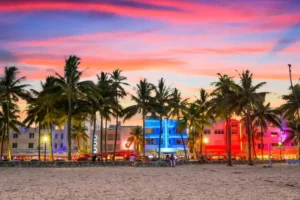 Visita guiada en Miami