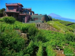 Cata de vinos en Tenerife