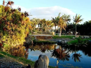 Lugares para visitar en Tenerife