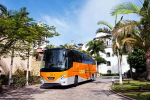 Bus turístico en Tenerife