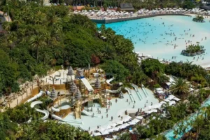 Excursiones en Costa Adeje