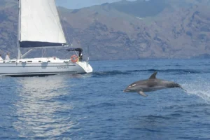 Snorkel en Costa Adeje