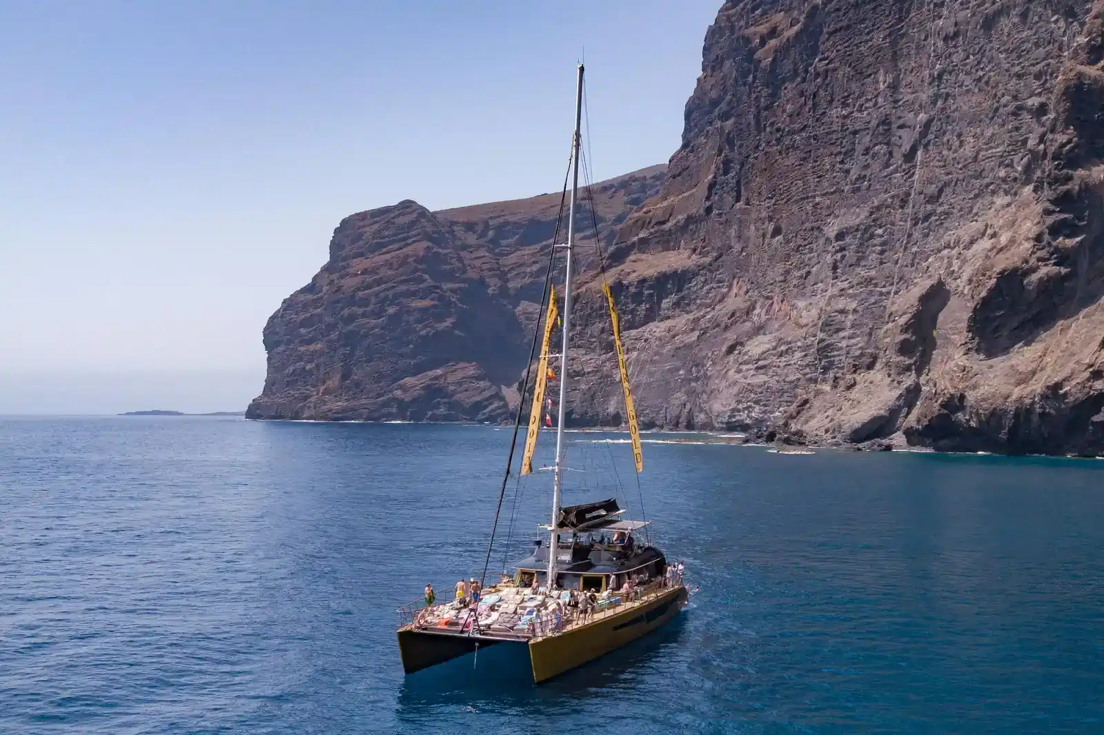 Tenerife: Tour de 4,5 horas a Masca y Los Gigantes para observar ballenas y delfines.