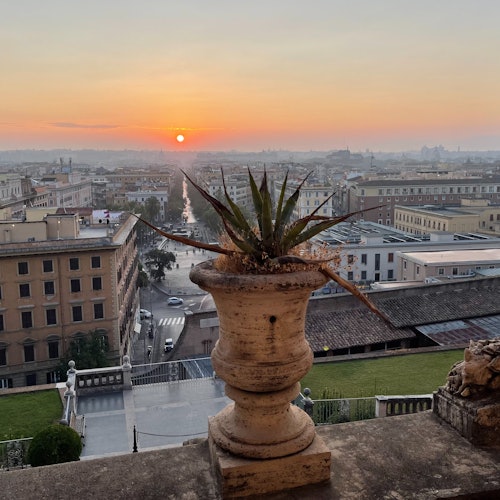 Museos Vaticanos y Capilla Sixtina: Tour guiado para grupos reducidos