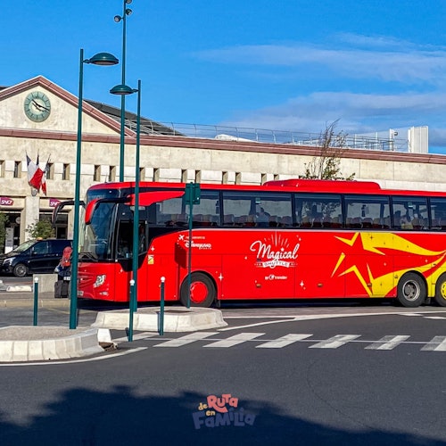 París: Traslado en autobús de ida desde el aeropuerto de Orly a Disneylandia