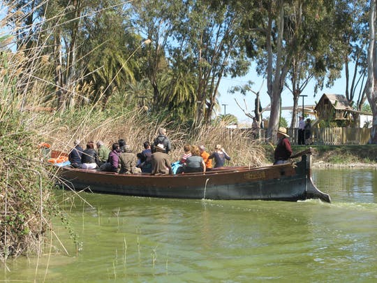 Valencia: Recorrido por el Parque Natural de la Albufera con paseo en barco y autobús panorámico