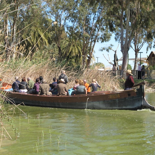 Desde Valencia: Bus + Paseo en barco por la Albufera