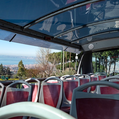 Pompeya y Monte Vesubio: Excursión de un día desde Roma