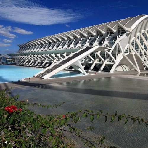 Oceanogràfic, Museo de las Ciencias y Hemisfèric: Entrada