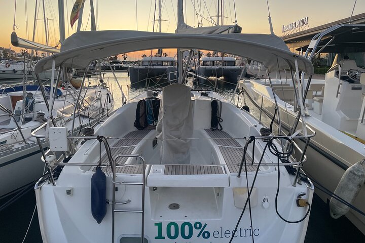 Observación de Ballenas y Delfines en Velero Eléctrico en Denia