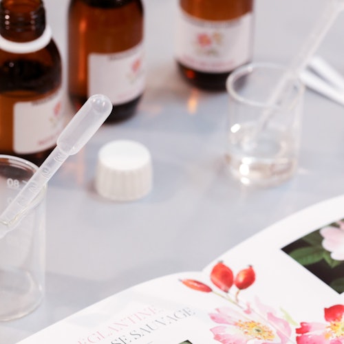 Taller de elaboración de perfumes y visita guiada al Museo del Perfume Fragonard