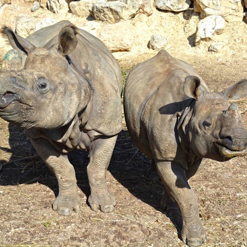 Terra Natura Benidorm: Entrada