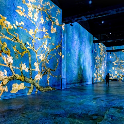 L'Atelier des Lumières: Entrada temporizada