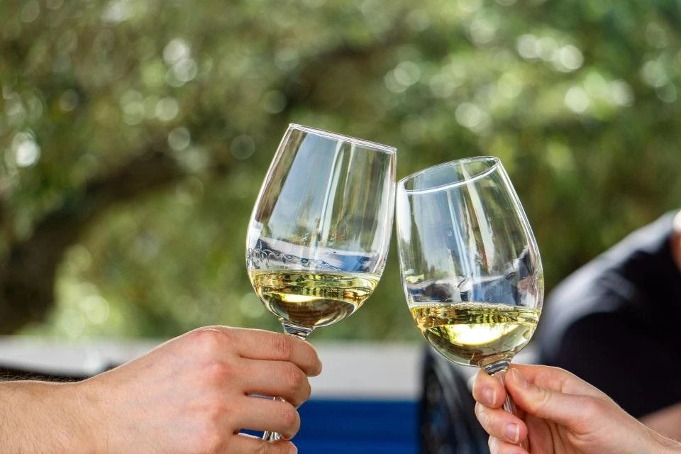 Algarve: Tour de Vino en Pequeño Grupo + Descubrimiento de Silves