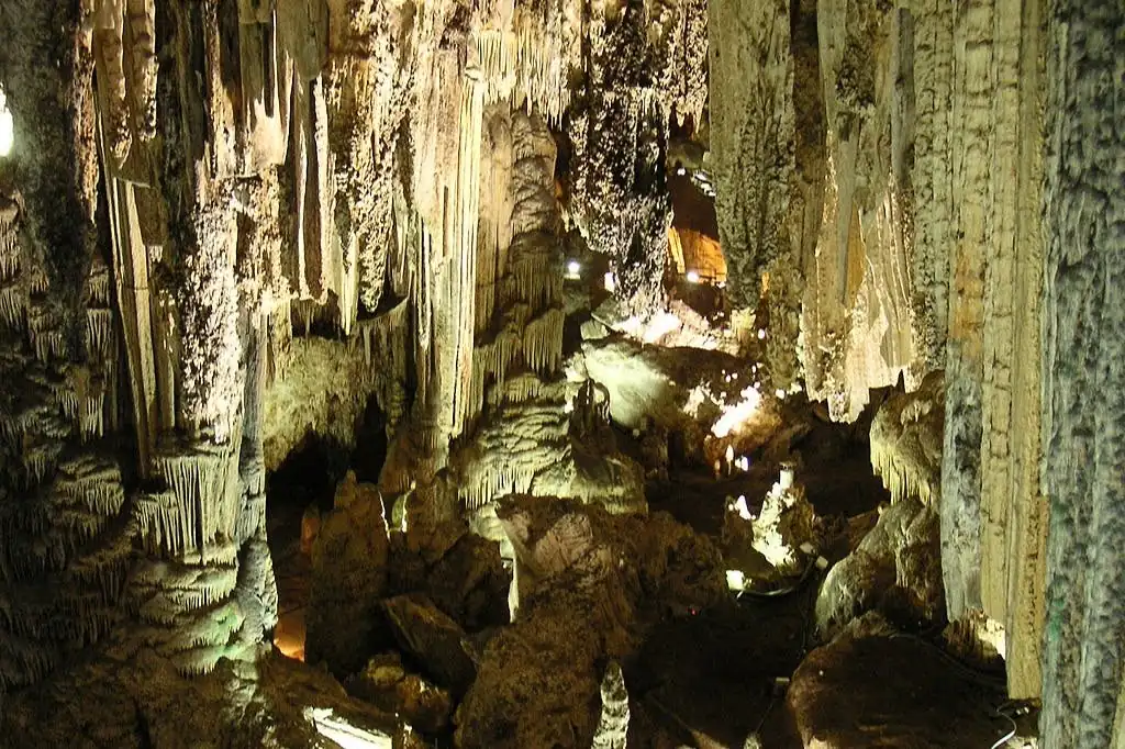 Excursión de un día desde Granada: Costa Tropical y Cueva de Nerja + Almuerzo.